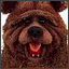 RawrRawrImaBear's Avatar